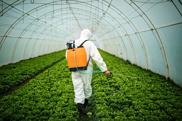 Best Best Pest Control Companies  in Kingston, WA