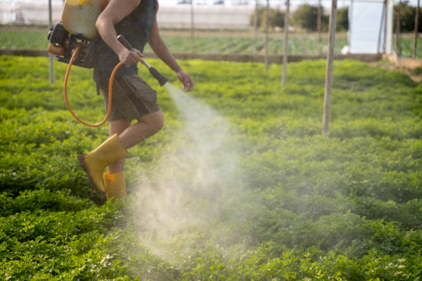 Trusted Kingston, WA Pest Control Experts