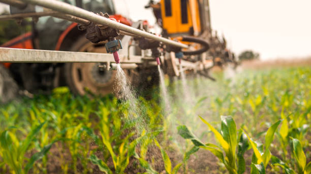 Best Mosquito Control Services  in Kingston, WA